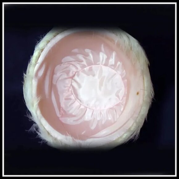 Vintage Hat + HATBOX Spring Toque White Feather Hat Pink Flowers 50s 1950s - Picture 7 of 15